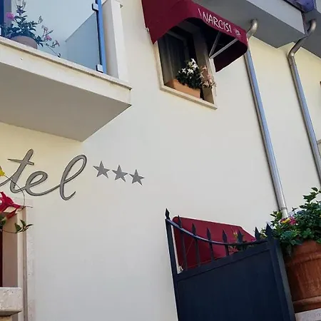 I Narcisi سينيسكولا