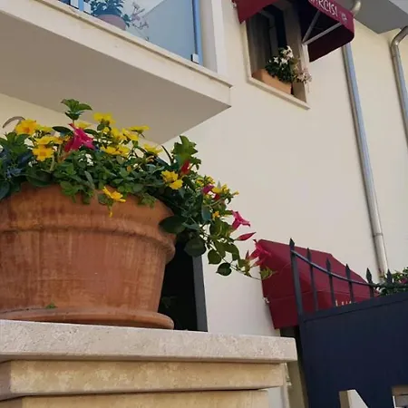 I Narcisi Siniscola